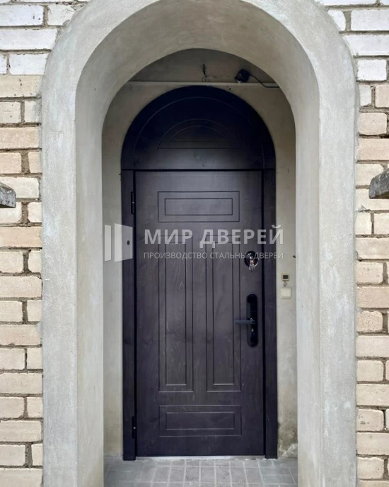 Фото двери № 517